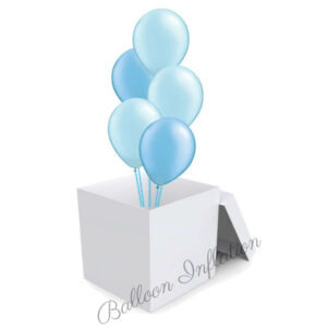 Blue Bouquet in A Box - Perfect for Gender Reveal